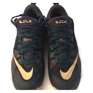 Lebron James XII Low Nike Shoes